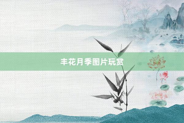 丰花月季图片玩赏