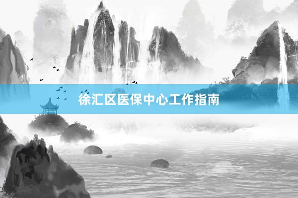 徐汇区医保中心工作指南