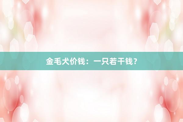 金毛犬价钱：一只若干钱？