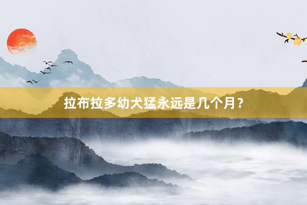 拉布拉多幼犬猛永远是几个月？