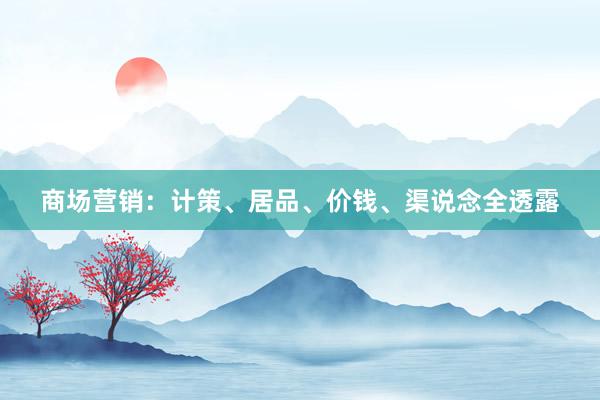 商场营销：计策、居品、价钱、渠说念全透露